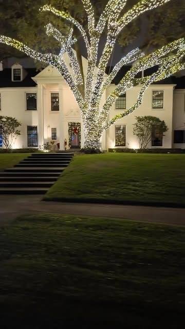 Holiday lights installed, serviced, and removed